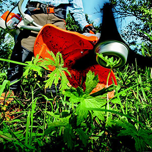 Održavanje travnjaka