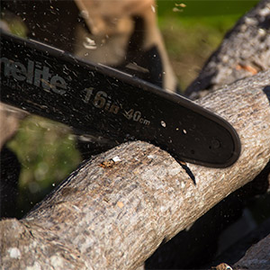 Uklanjanje drveća i grmlja